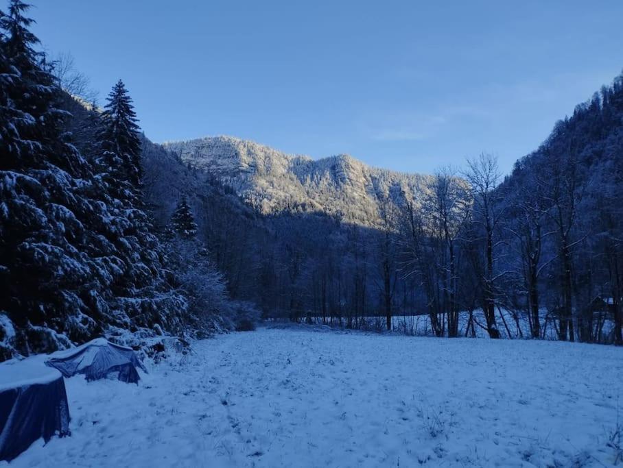 Chalet 8 Personnes + Grand Terrain Et Riviere Entremont Eksteriør billede