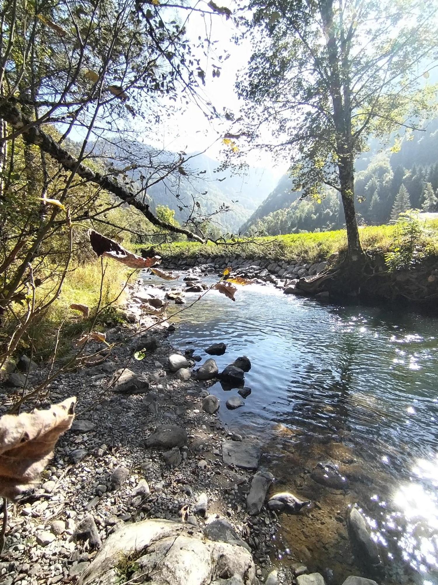 Chalet 8 Personnes + Grand Terrain Et Riviere Entremont Eksteriør billede